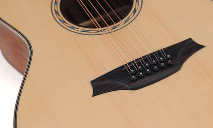 12-string auditorium guitar, solid spruce top, mahogany b&s, cutaway+EQ, amara ebony fb, gigbag