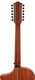 12-string auditorium guitar, solid spruce top, mahogany b&s, cutaway+EQ, amara ebony fb, gigbag