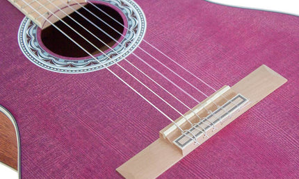 Valencia - VC354PP - Classic Guitar 4/4 – Mahogany, Purple