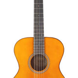 Valencia - VA434VNA - Nylon String Auditorium Guitar – Vintage Natural