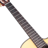 Valencia - VA434CE - Nylon String Auditorium Guitar – Cutaway, Natural