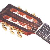 Valencia - VA434CE - Nylon String Auditorium Guitar – Cutaway, Natural