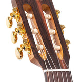 Valencia - VA434CECSB - Nylon String Auditorium Guitar – Sunburst