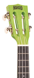 concert ukulele, sea green, with bag