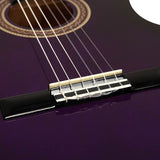 Valencia - VC104PPS - Classic Guitar – Purple Sunburst