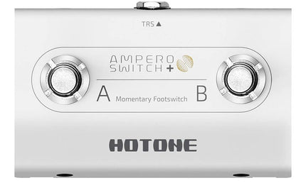 compact momentary footswitch AMPERO SWITCH +, with 2 buttons