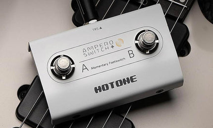 compact momentary footswitch AMPERO SWITCH +, with 2 buttons