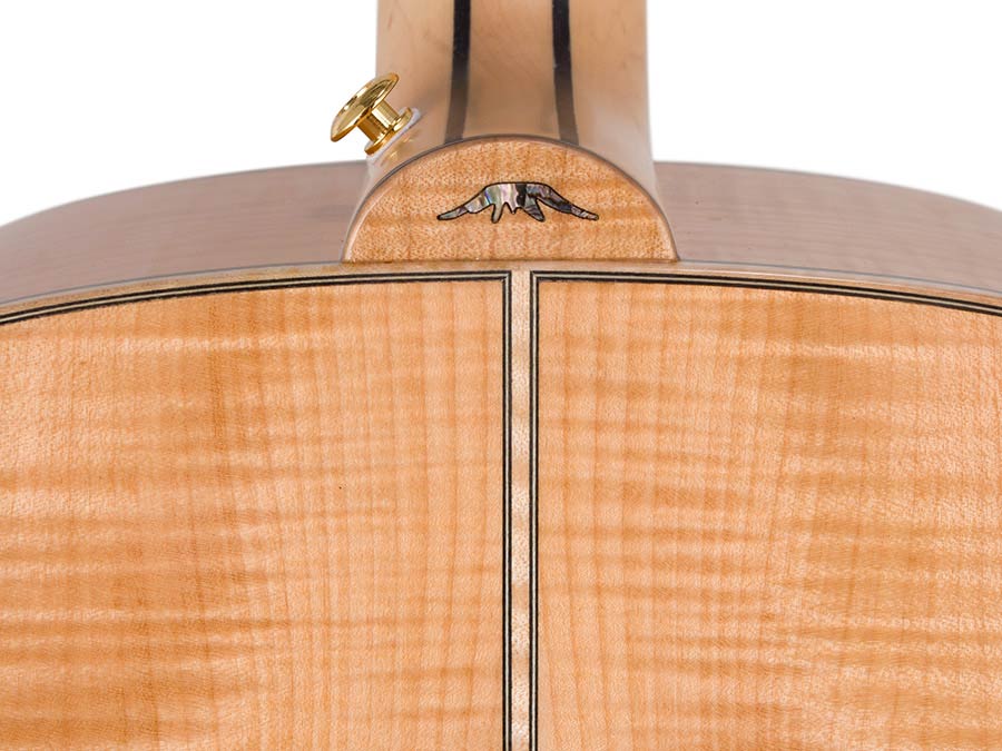 jumbo guitar with solid spruce top, maple b&s, amara ebony fb, with deluxe gigbag and wooden stand