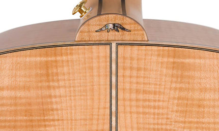 jumbo guitar with solid spruce top, maple b&s, amara ebony fb, with deluxe gigbag and wooden stand
