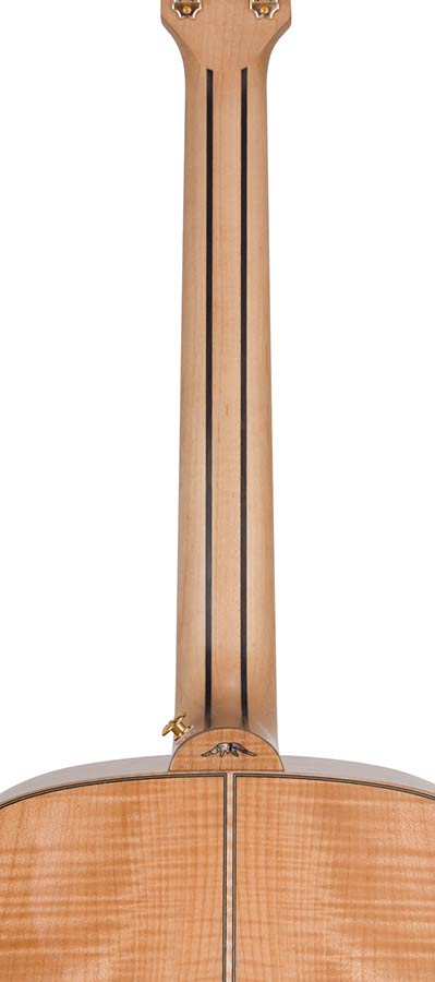 jumbo guitar with solid spruce top, maple b&s, amara ebony fb, with deluxe gigbag and wooden stand