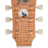 jumbo guitar with solid spruce top, maple b&s, amara ebony fb, with deluxe gigbag and wooden stand