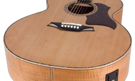 jumbo guitar with solid spruce top, maple b&s, amara ebony fb, with deluxe gigbag and wooden stand
