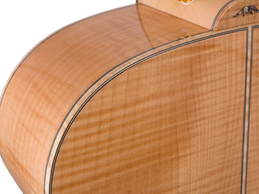 jumbo guitar with solid spruce top, maple b&s, amara ebony fb, with deluxe gigbag and wooden stand