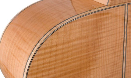jumbo guitar with solid spruce top, maple b&s, amara ebony fb, with deluxe gigbag and wooden stand