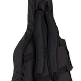 parlor guitar all solid tonewoods, amara ebony b&s & fb, natural, with EQ and heavy duty bag
