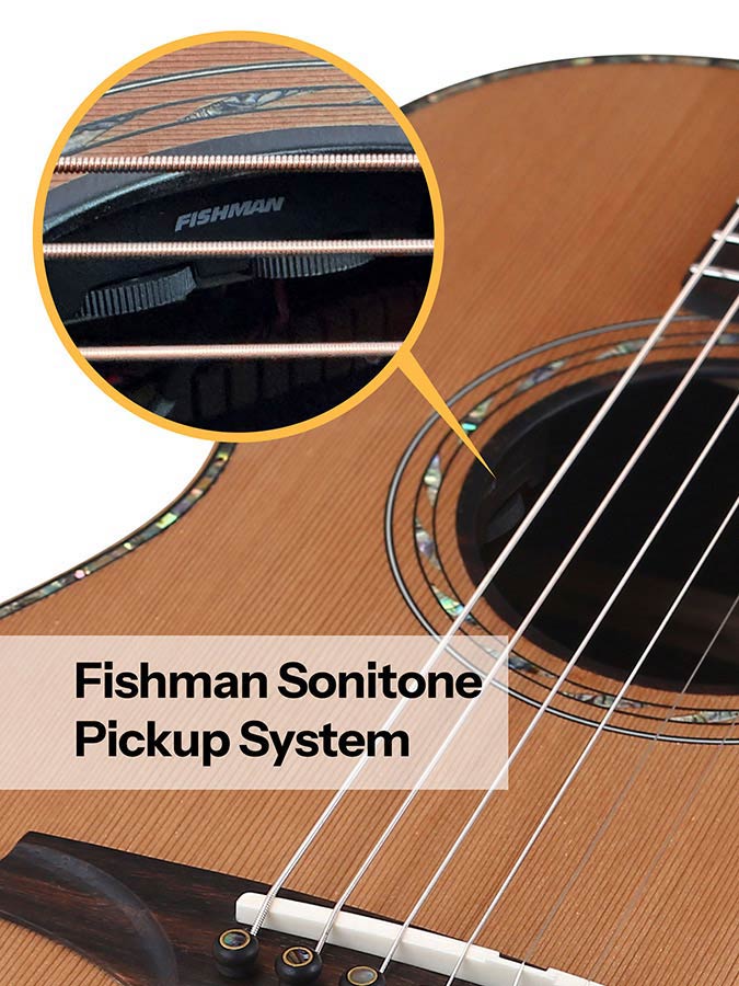 parlor guitar all solid tonewoods, amara ebony b&s & fb, natural, with EQ and heavy duty bag