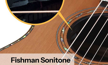 parlor guitar all solid tonewoods, amara ebony b&s & fb, natural, with EQ and heavy duty bag