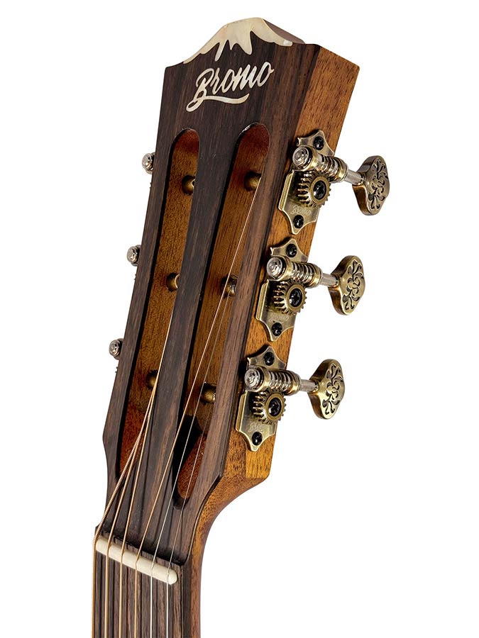 parlor guitar all solid tonewoods, amara ebony b&s & fb, natural, with EQ and heavy duty bag