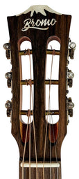 parlor guitar all solid tonewoods, amara ebony b&s & fb, natural, with EQ and heavy duty bag
