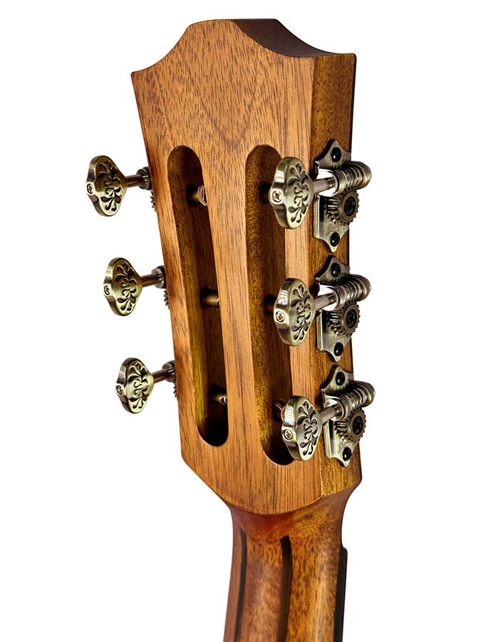 parlor guitar all solid tonewoods, amara ebony b&s & fb, natural, with EQ and heavy duty bag