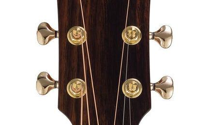 auditorium guitar with solid spruce top, 5A movingui b&s, amara ebony fb, cutaway, EQ and gigbag
