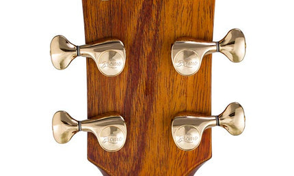 auditorium guitar with solid spruce top, 5A movingui b&s, amara ebony fb, cutaway, EQ and gigbag