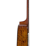 auditorium guitar with solid spruce top, 5A movingui b&s, amara ebony fb, cutaway, EQ and gigbag