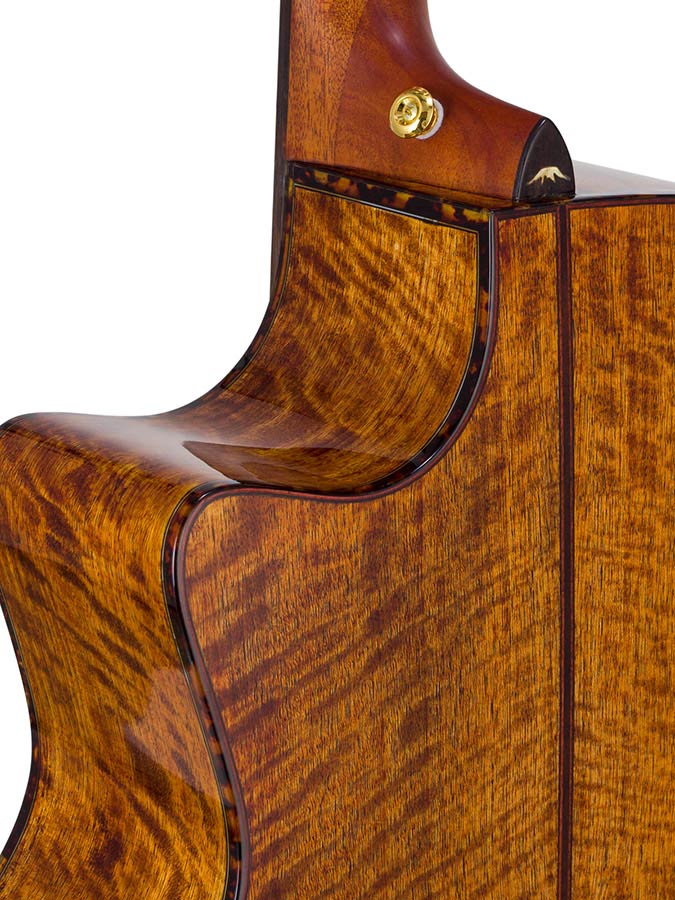 auditorium guitar with solid spruce top, 5A movingui b&s, amara ebony fb, cutaway, EQ and gigbag