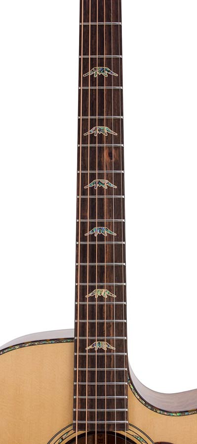 auditorium guitar with solid spruce top, 5A movingui b&s, amara ebony fb, cutaway, EQ and gigbag