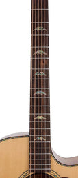 auditorium guitar with solid spruce top, 5A movingui b&s, amara ebony fb, cutaway, EQ and gigbag