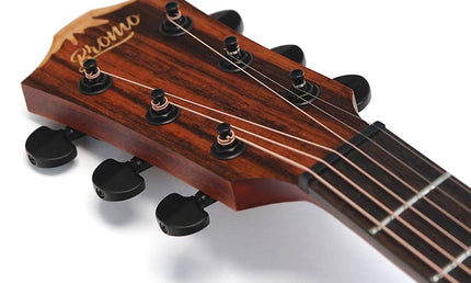 round shoulder dreadnought guitar with solid mahogany top, walnut b&s, amara ebony fb, EQ, black