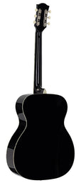 Richwood - Hsa-55-Gs - Auditorium Guitar With Solid Spruce Top – Top, Silver