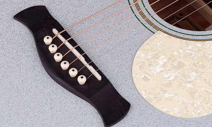Richwood - Hsa-55-Gs - Auditorium Guitar With Solid Spruce Top – Top, Silver