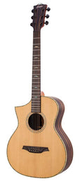 lefty concert guitar all solid tonewoods, amara eb back & sides & fb, Fishman, natural, with bag