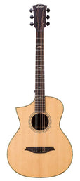 lefty concert guitar all solid tonewoods, amara eb back & sides & fb, Fishman, natural, with bag