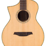 lefty concert guitar all solid tonewoods, amara eb back & sides & fb, Fishman, natural, with bag