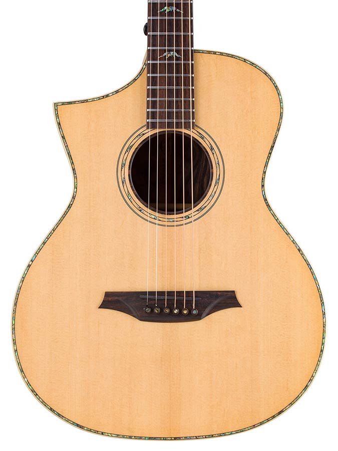 lefty concert guitar all solid tonewoods, amara eb back & sides & fb, Fishman, natural, with bag