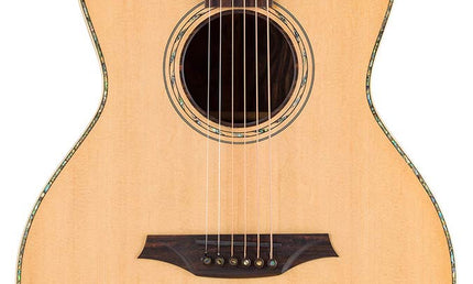lefty concert guitar all solid tonewoods, amara eb back & sides & fb, Fishman, natural, with bag