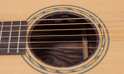 lefty concert guitar all solid tonewoods, amara eb back & sides & fb, Fishman, natural, with bag