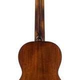 parlor guitar all solid tonewoods with 12th fret neck joint, amara ebony fb, with heavy duty bag