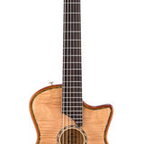 hollow body electric nylon guitar, spruce top, mahogany body, amara ebony fb, nat + hard shell case