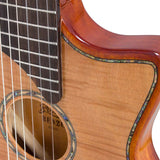 hollow body electric nylon guitar, spruce top, mahogany body, amara ebony fb, nat + hard shell case