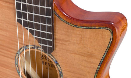 hollow body electric nylon guitar, spruce top, mahogany body, amara ebony fb, nat + hard shell case