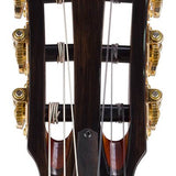 hollow body electric nylon guitar, spruce top, mahogany body, amara ebony fb, nat + hard shell case