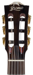 hollow body electric nylon guitar, spruce top, mahogany body, amara ebony fb, nat + hard shell case