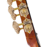 hollow body electric nylon guitar, spruce top, mahogany body, amara ebony fb, nat + hard shell case