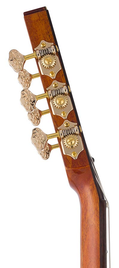 hollow body electric nylon guitar, spruce top, mahogany body, amara ebony fb, nat + hard shell case