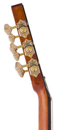 hollow body electric nylon guitar, spruce top, mahogany body, amara ebony fb, nat + hard shell case