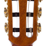 hollow body electric nylon guitar, spruce top, mahogany body, amara ebony fb, nat + hard shell case