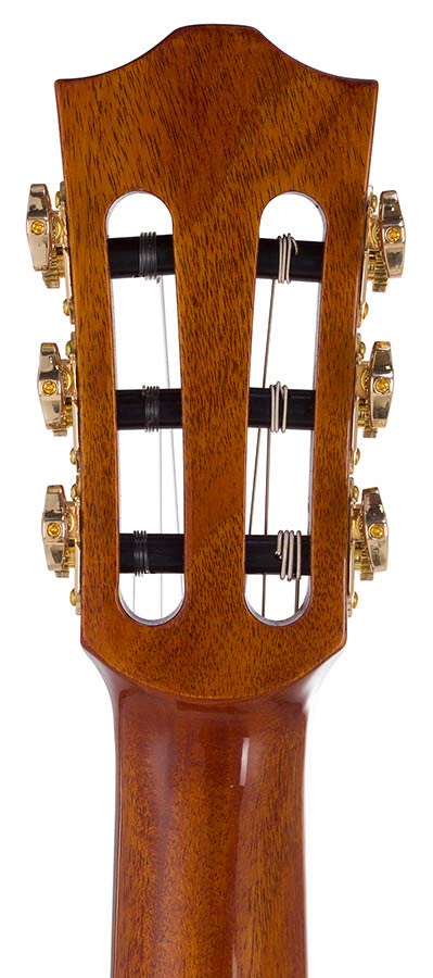 hollow body electric nylon guitar, spruce top, mahogany body, amara ebony fb, nat + hard shell case